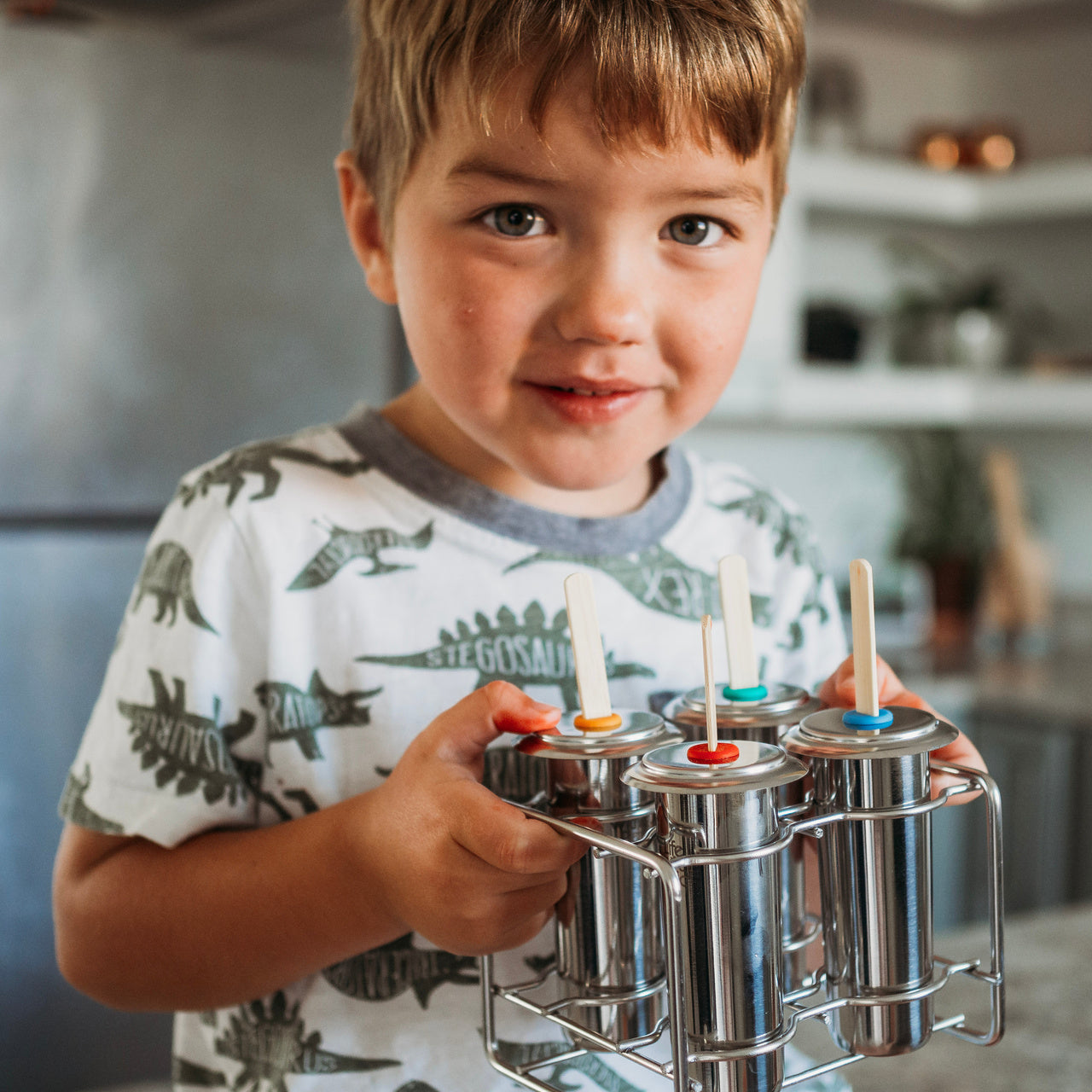 Stainless Steel Freezycup Kit - 4 Freezycups and lids, 1 stand, 16 sticks, 16 gaskets